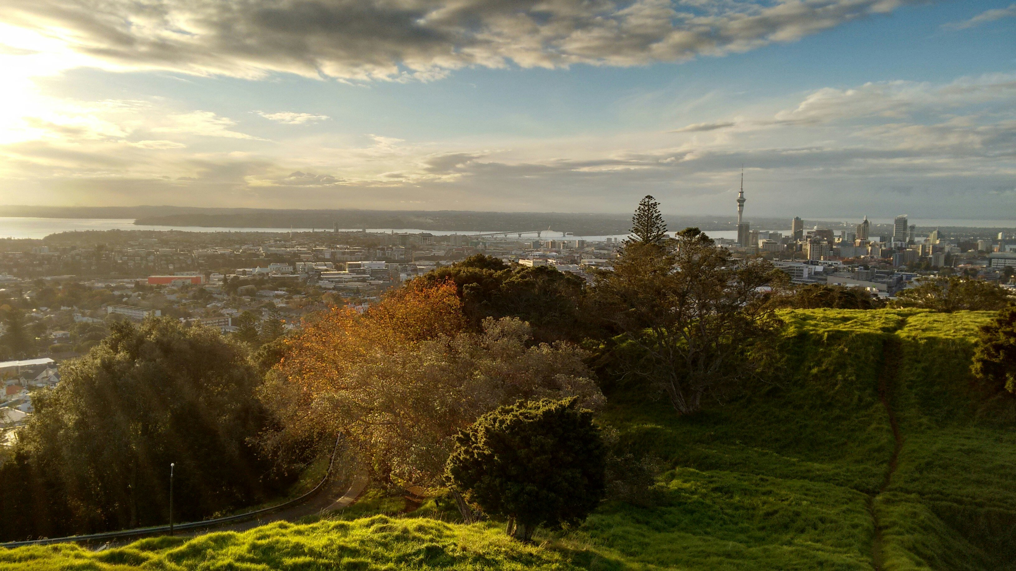 Auckland Landscape