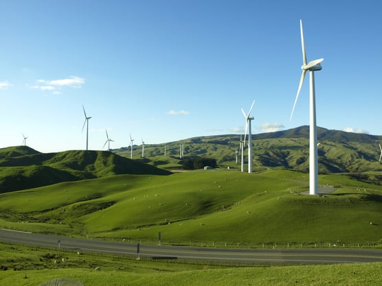 Manawatu