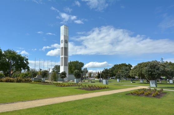 Palmy